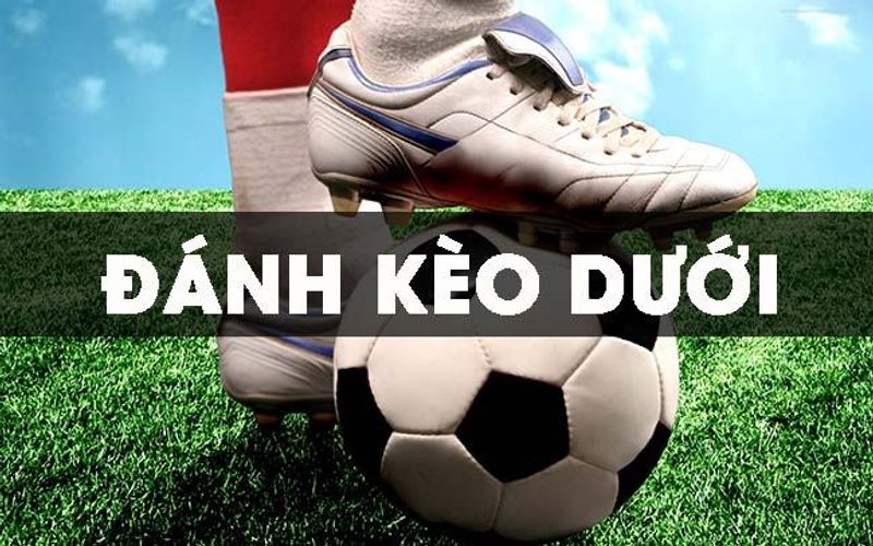 Các loại kèo dưới phổ biến trên 58win