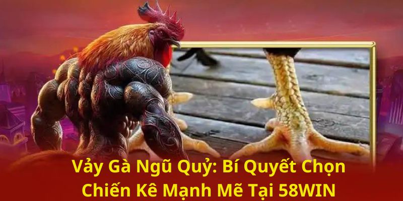 Quan sát tổng thể – Chọn theo tướng gà